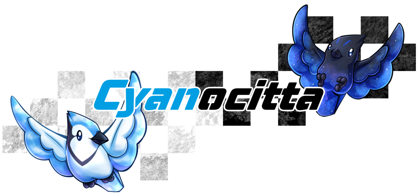 Cyanocitta studio